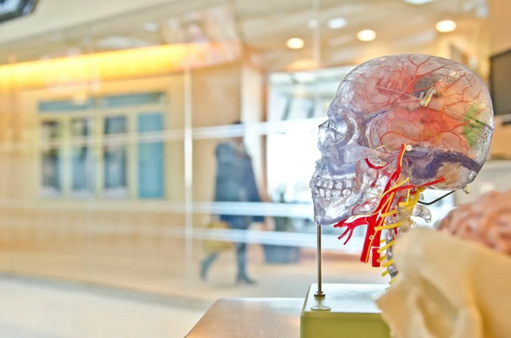 medical school list