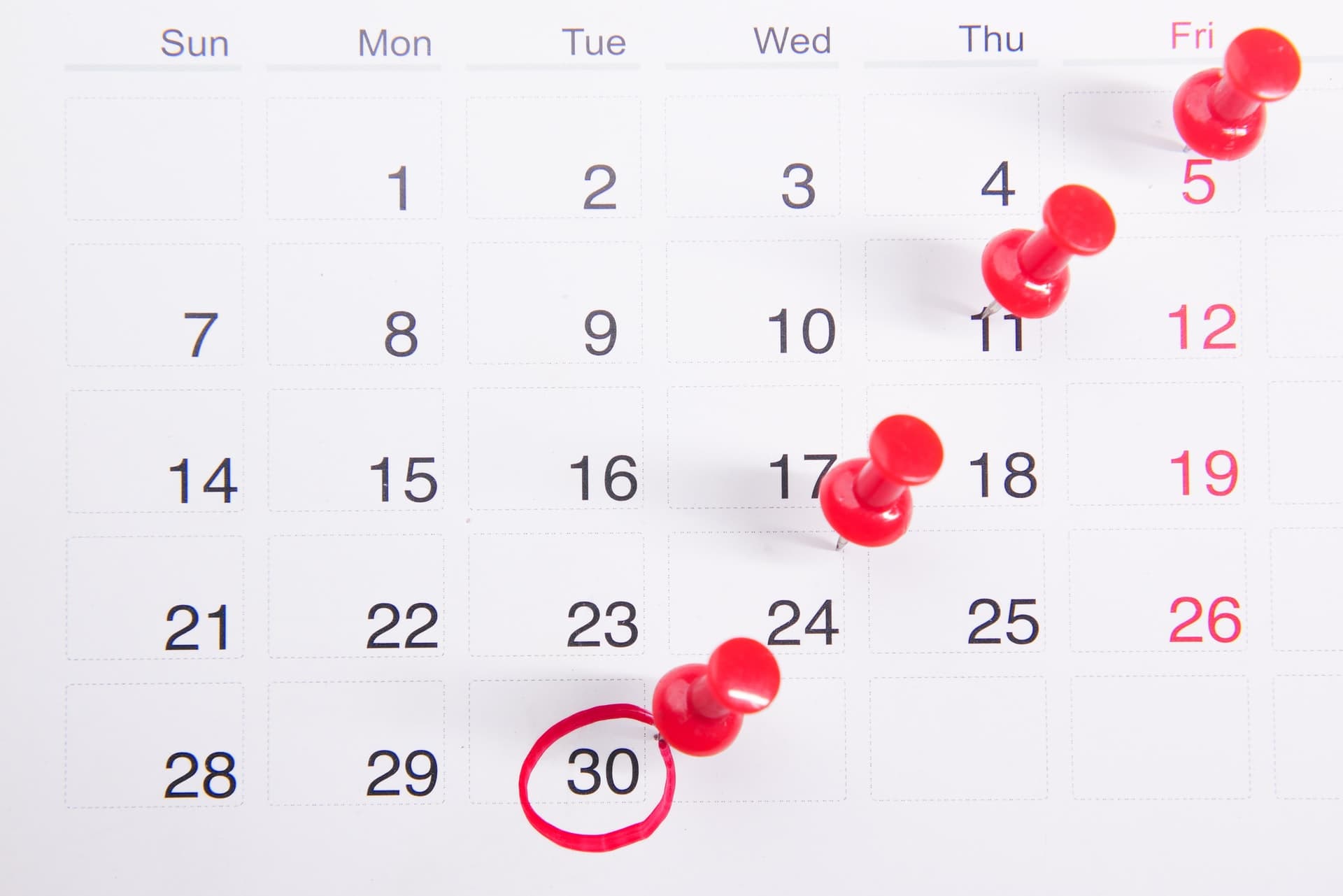 Medical School Application Timeline